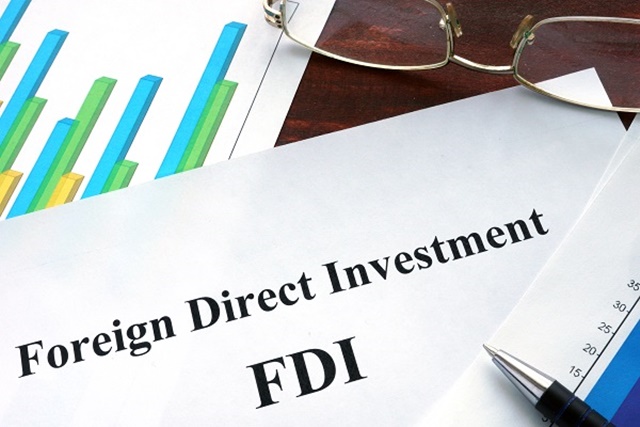 Có nhiều loại hình đầu tư FDI